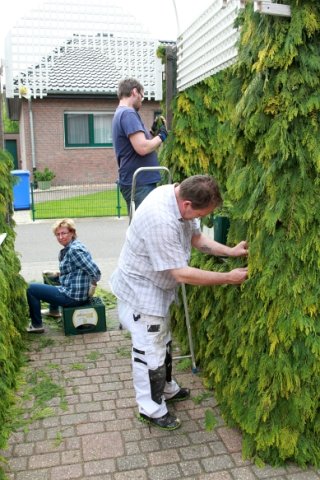 Schützenfest 2015 Bilder Claas