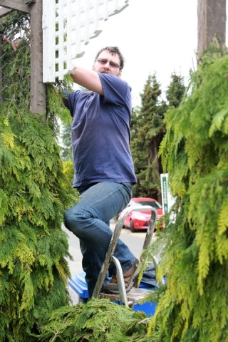 Schützenfest 2015 Bilder Claas