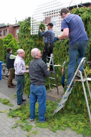 Schützenfest 2015 Bilder Claas