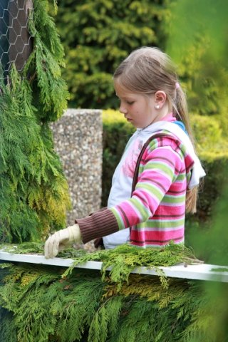 Schützenfest 2015 Bilder Claas