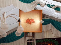 Schützenfest 2015 Bilder Claas